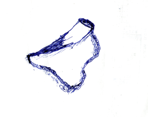 Zeichnung eines Tierhorns